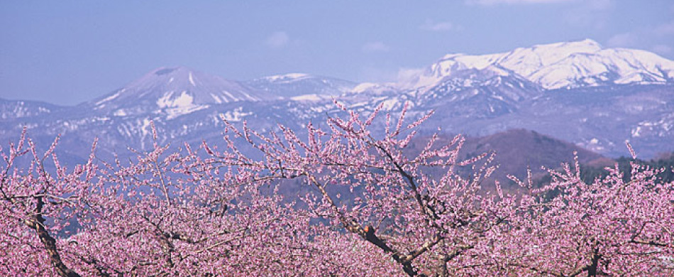 福島県中通りの風景